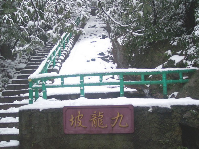 王仙岭-九龙坡.jpg