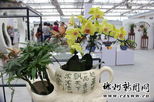 First 2015 Chenzhou (Dongjiang Lake) Flower & Gardening