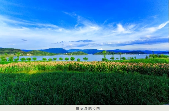 Bailang Wetland Park.jpg