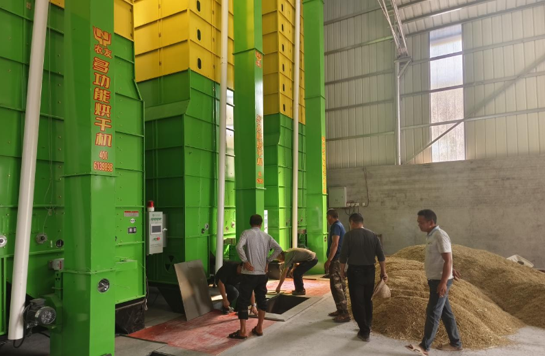 Mechanical drying boosts grain growers’ income